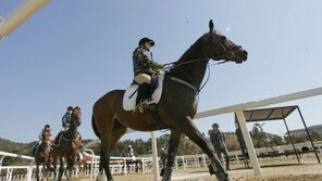 “말 타는 법, 말처럼 쉽죠∼”