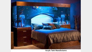 수족관 침대, “바닷속에서 잠든 기분!” 그런데 가격이… “헐!”