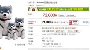 브라우니 몸값 상승, “정여사의 브라우니와 똑같은 제품은 없나?”