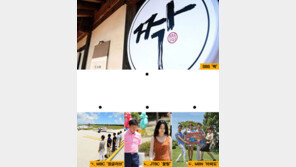 표절 시비…드라마 유죄, 예능은 무죄?