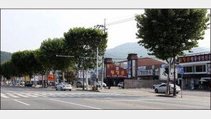 1km 김밥 말기 도전 “참가인원 5000명…쌀 7가마니 김 1만장 투입”