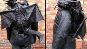 사고 싶던 드래곤, 밤길 뒤에서 보면 ‘깜놀할 듯’