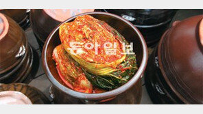 [O2/Life]톡 쏘는 김치의 상큼한 맛, 오랫동안 즐기려면