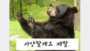 학기 초 일어나는 일, “제발 그것만은…” 폭소