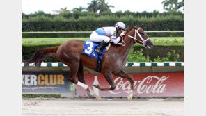 말춤 이어 말도 미국 진출 ‘대박’