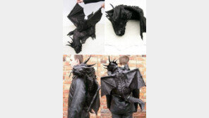 사고 싶던 드래곤, 왠지 뒤가 든든해지는 디자인, “지그래곤 보고 있나?”