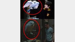 해리포터 진짜 절친은 헤그위드? “론과 헤르미온느 서운하겠네”