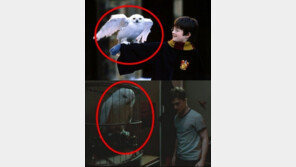 해리포터 진짜 절친은? 알고 보니…‘론과 헤르미온느가 아냐’