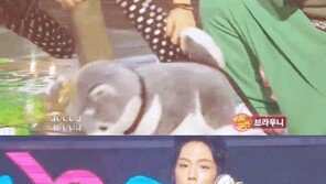 브라우니 ‘뮤직뱅크’ 출연… “김기열보다 인기 많네~”