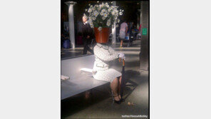 미스터리 화분 머리, 묘령의 여인 누구?