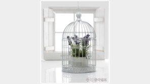 [우먼 동아일보 뷰티 리뷰] 수딩 케어 S.O.S! 뷰티 테스터 2인의 ‘라끌레르 오가닉 아로마 미네랄 워터’ 생생 체험기