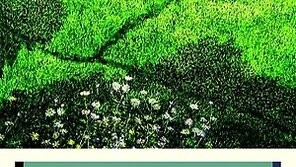 [신간] 월도스님이 전하는 치유 메시지