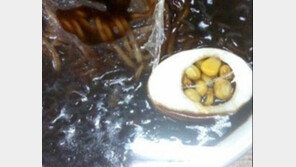 짜장면의 배신, 먹는 걸로 장난치는 거 아니라지만… “발상이 대단하네”