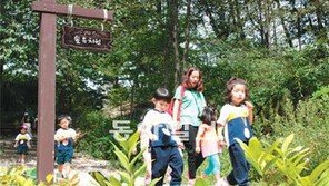 [신나는 공부]“장난감 로봇보다 숲속 동·식물이 더 좋아요”… 북한산 유아숲체험원에 가다