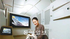 [기업이 미래다]‘색동날개’ 고유의 고품격 서비스로 ‘글로벌 항공사’ 꿈꿔