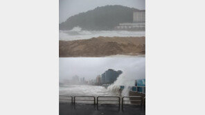 태풍 산바 피해, 나무 뽑히고 간판 떨어지고… 태풍위치 주시!