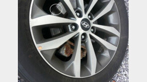 “신형 그랜저HG 바퀴에 ‘녹’ 슬었다”…설마 조작?