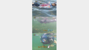 ‘엉덩이 甲’ 전혜빈, ‘정글’에서 압도적인 매끈늘씬 몸매 과시