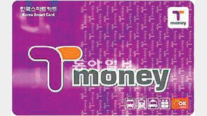 [수도권]티머니, 너 정체가 뭐니?