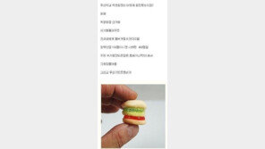 약속 지킨 학생회장, 이게 햄버거? “회장도 문제지만 학생들도 문제!”