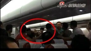 [영상]中  비행기 난투극… “좌석 왜 뒤로 젖히나” 시비끝 주먹다짐