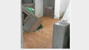 6년 만에 홍수 경보, 낙동강 삼랑진 홍수 경보 수위 훌쩍 넘겨…