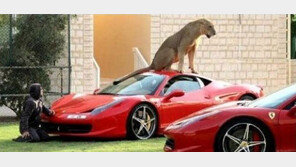 훔칠 수 없는 페라리, “도전해봐요~ 용기내봐요”