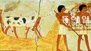 [O2]농업은 인류에게 질병을 주고, 진화를 촉발시켰다