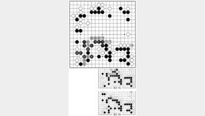 [바둑]제56기 국수전… 76으로 둔 뜻은 