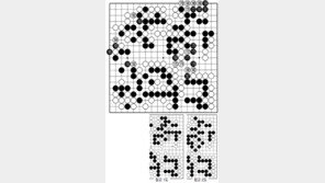 [바둑]제56기 국수전… 결정타 169-171-173 