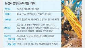 유전자변형 옥수수 놓고 유럽 유해성논란 재가열