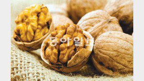 [헬스&뷰티]뇌가 받은 스트레스, 음식으로 싹∼ 뇌건강에 좋은 음식