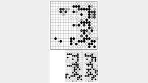 [바둑]제56기 국수전… 흑의 도발… 백의 대마사냥 