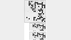 [바둑]제56기 국수전… 실착 130