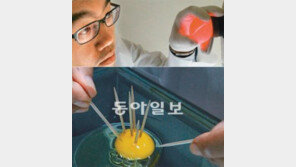 [O2]꼬집듯 집어도… 이쑤시개 꽂아도… 노른자가 안 터지네