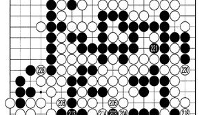 [바둑]제56기 국수전… 반면으로도 남는 형세