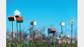 [포토 에세이]이런 집 어때요?