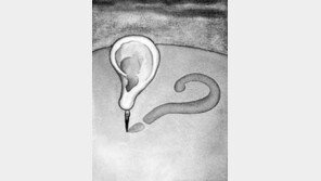 [DBR]춥다고 느낄수록 로맨스 영화 선호… 기부행사도 날씨 쌀쌀할 때 참여율↑