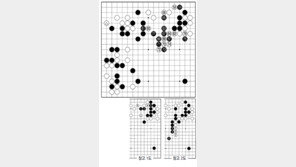 [바둑]제56기 국수전… 58-60 사전 정지작업