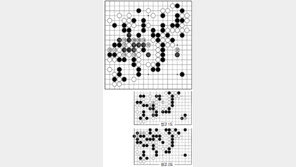 [바둑]제56기 국수전… 패착 101