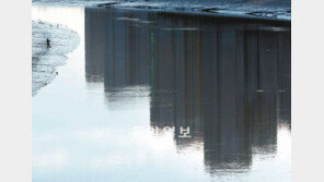 [포토 에세이]강물에 검게 비친 아파트