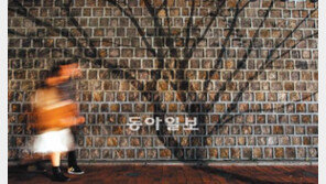 [포토 에세이]한폭의 수채화처럼… 덕수궁 돌담길 걷는 연인들