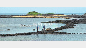 [제주]제주 올레 21가지 이야기… 5년2개월만에 마무리