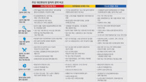 [대선후보 일자리 공약 점검]남다른 공약 뭐가 있나