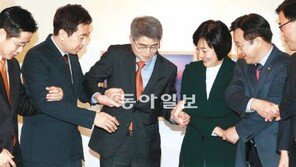 새정치선언 협상팀, 의원수 300명 유지 합의