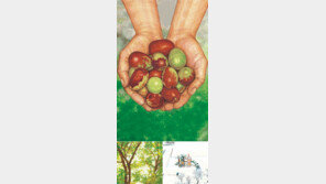 [어린이 책]반짝이는 햇살이 아가 네 얼굴을 보고 싶어 한단다