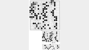 [바둑]제56기 국수전… 162로 버틴 이유는 
