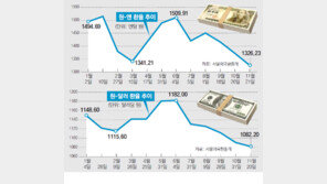 [오늘의 핫 이슈]5개월 새 180원 뚝… 수출기업들 악소리