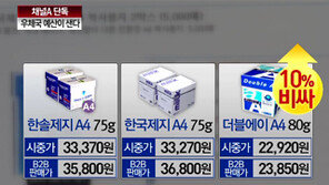 [뉴스A]단독/도리어 비싼 B2B, 우체국 예산이 샌다