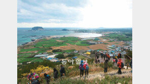 [제주]눈 앞의 성산봉, 저멀리 한라산… 올레의 꿈은 425km 그 넘어